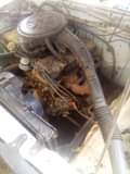A picture of Sahara nisan 1600