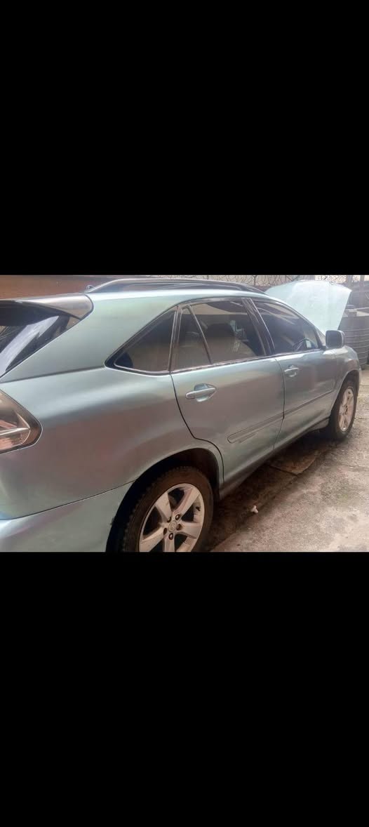 A picture of 2007 Lexus RX 330 2007