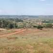 A picture of ENTEBBE ROAD PLOTS FOR SALE