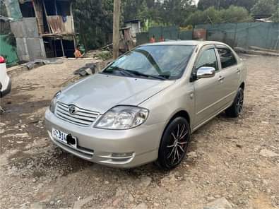 used toyota corolla