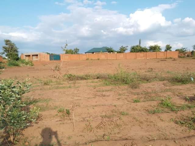 land