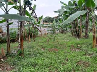 A picture of 50decimals for sale in Garuga at 300million