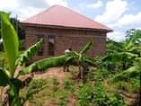 A picture of Good deal on quick sale House on sale located matugga