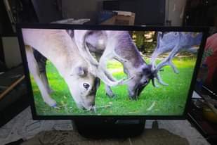 A picture of LG 32 32 INCHES FULL HD