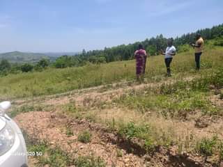 A picture of 50 100FT TITLED PLOTS STILL AVAILABLE AT OUR GOBERO WAKISO