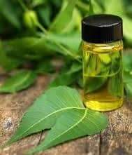 A picture of Neem Oil