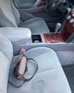 A picture of Toyota Camry