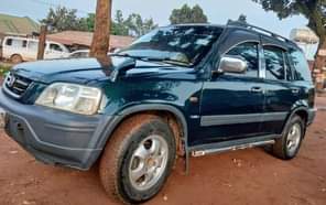 A picture of 7m 0743386797