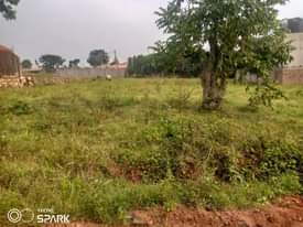 A picture of Half acre for sale in kira just 200 meters off