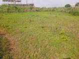 A picture of 1 acre and 10 decimals for sale at 900m ush