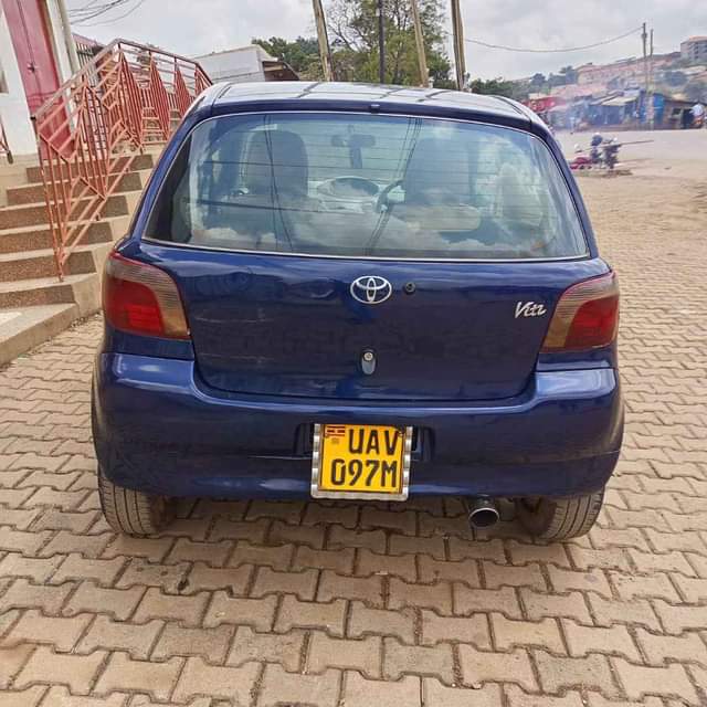A picture of Vitz
