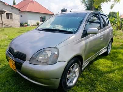 A picture of Vitz
