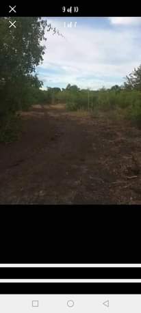A picture of SHAMBA HEKA 20 LINAUZWA MZENGA WILAYA YA KISARAWE MKOA WA