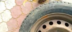 A picture of Rim