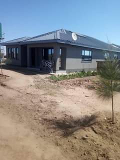 stands
