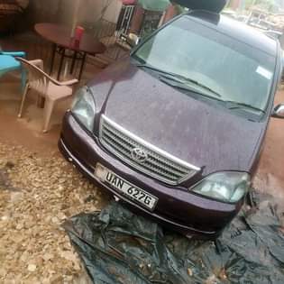 A picture of Quick sale Now now