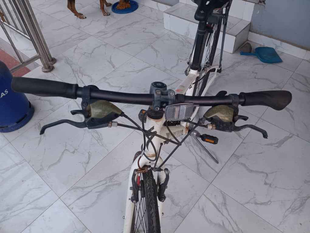 A picture of Foreign used bicycle