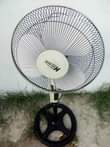 A picture of Feni