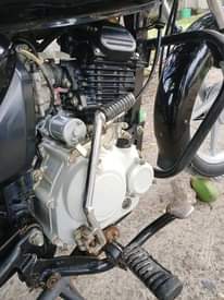 A picture of Boxer bm DRL