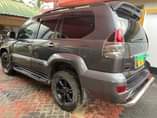 A picture of Prado 120