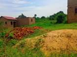 A picture of PLOT ON QUICK SALE Located matugga kiwebwa manze Size 25x50ft