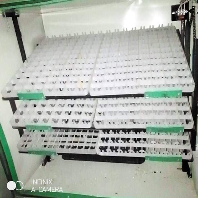 incubator