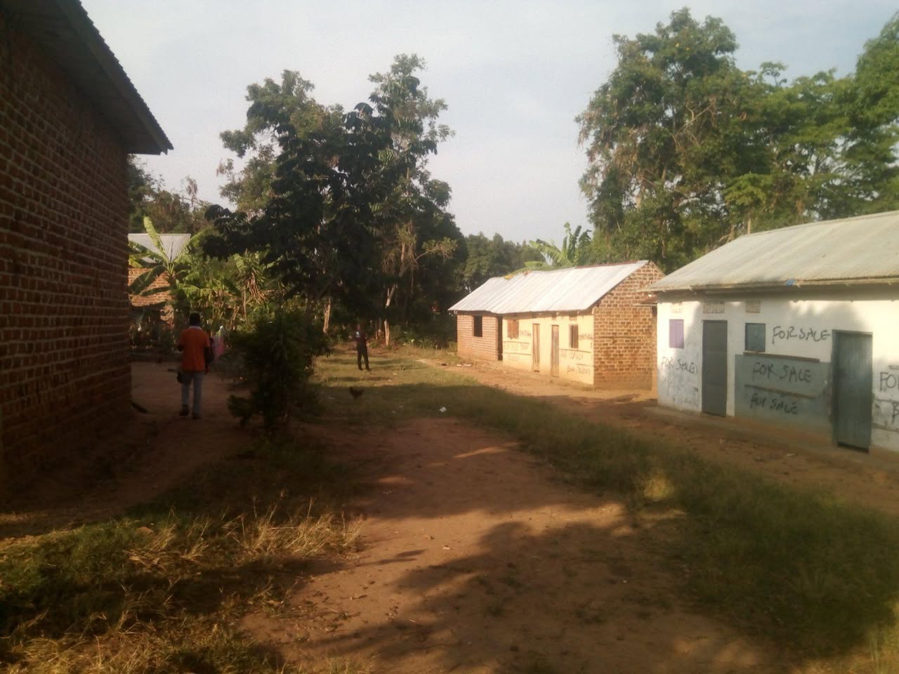 A picture of School for sale