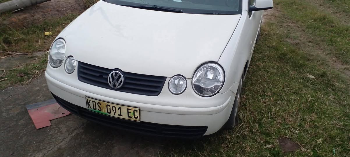 polo vivo