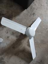 projector