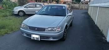 used toyota corolla