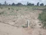 A picture of VINAUZWA LAKINN 500 000