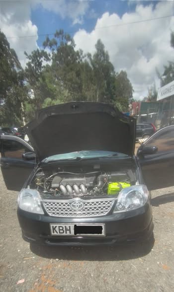 used toyota runx