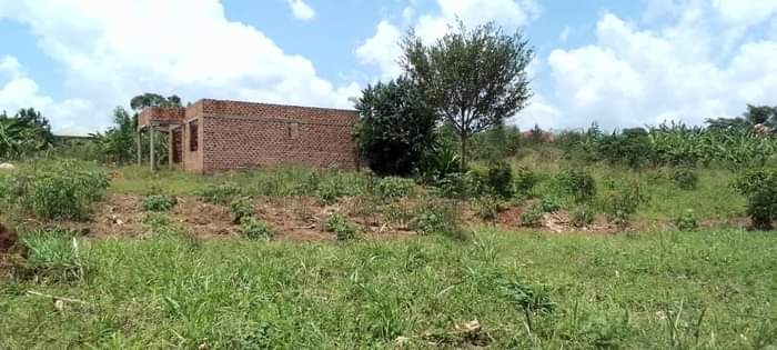 houses matugga