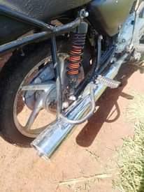 A picture of Boxer100