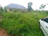 A picture of CHEAP PLOTS