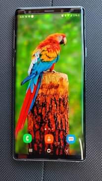 A picture of Samsung note p