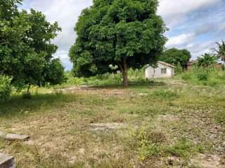 A picture of Kiwanja