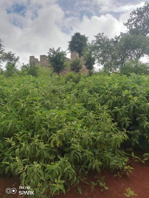 A picture of Kiwanja kinauzwaa ipo kiserian