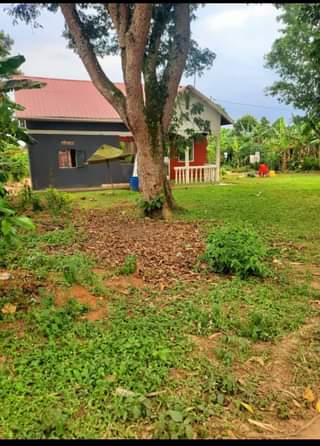 A picture of PLOTS FOR SALE Located on Matuga Bbale 3km from on