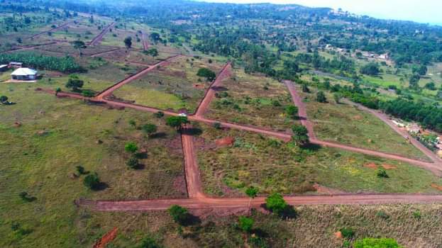 A picture of NAMAYUMBA Plots For Sale 9 million ugx for 50 by