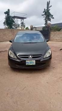 A picture of 2003 Peugeot Peugeot 307
