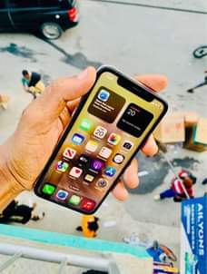 A picture of iPhone X face