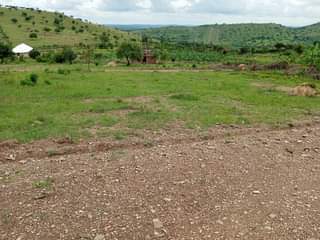 A picture of RWENJERU BIHARWE MBARARA CITY 7M 0770379434