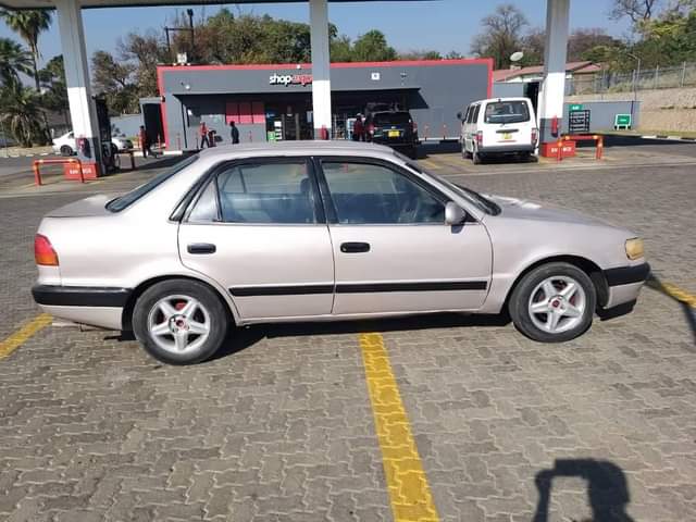 CAR M.