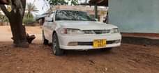 A picture of Carina ti Ml 6 5 Location shinyanga 0718829470 KAMA UNAUZA