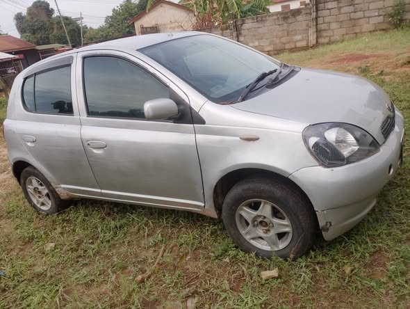 A picture of Vitz