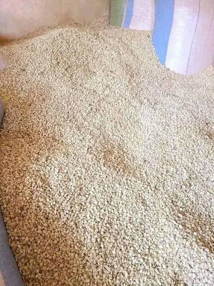 A picture of Dry Maize