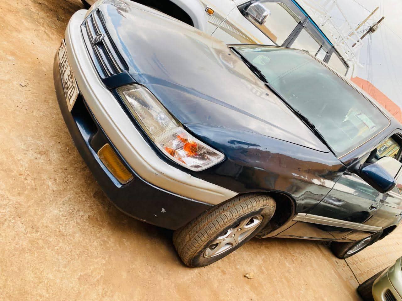 A picture of Premio ordinary