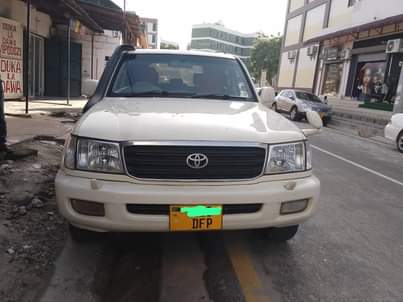 A picture of Land cruiser Amazon