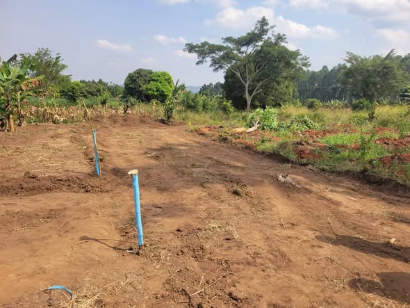 A picture of PLOTS IN KAKIRI GOBERO
